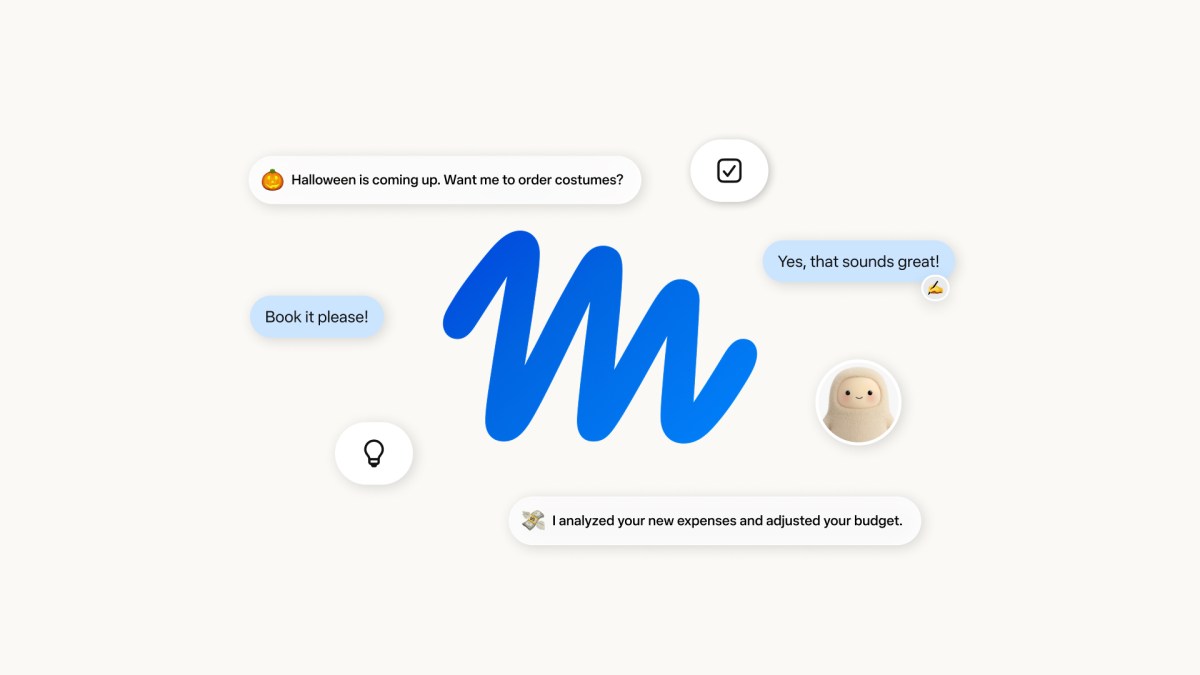 Build an App Like Meta's Muse: How It Works and What It Takes